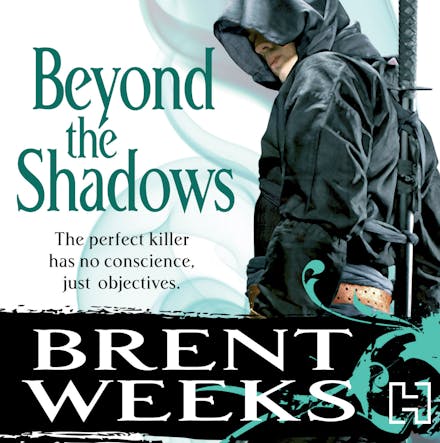 Beyond The Shadows