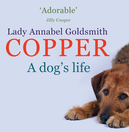 Copper: A Dog's Life