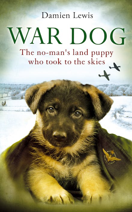 War Dog