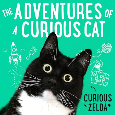 The Adventures of a Curious Cat