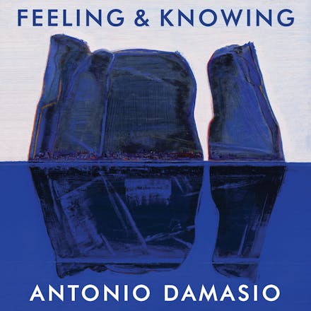 Feeling and Knowing