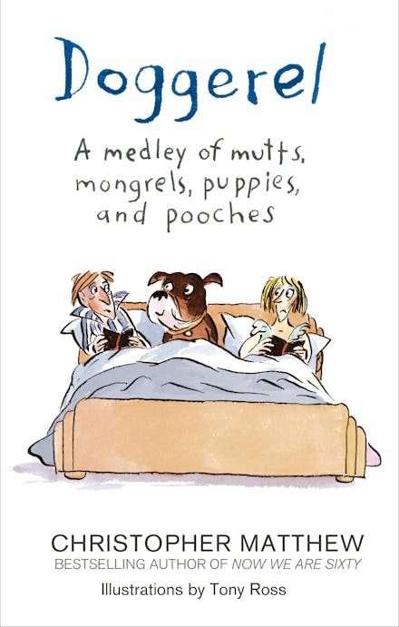 Dog Treats