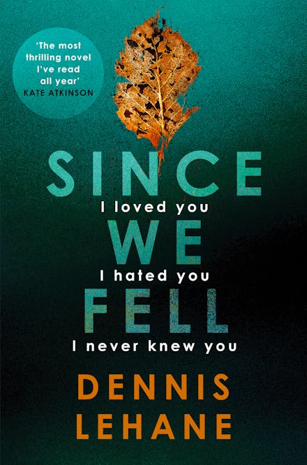 Since We Fell