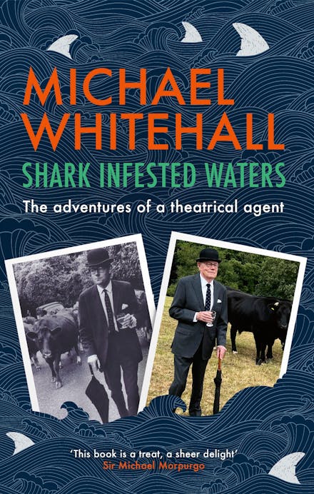 Shark-Infested Waters