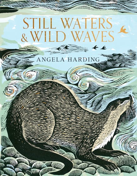 Still Waters & Wild Waves