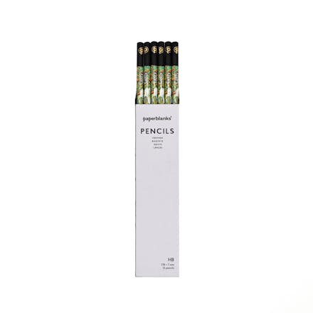 Van Gogh s Irises Pencil (12 Pack)