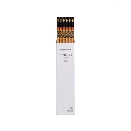 Asterix & Obelix (The Adventures of Asterix) Pencil (12 Pack)
