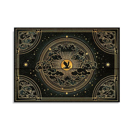 Shadows of Navarre (Fourth Wing) Document Folder
