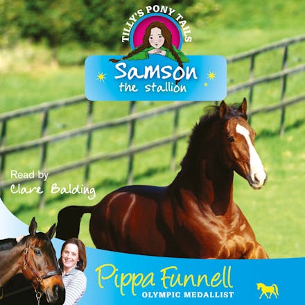 Tilly's Pony Tails: Samson