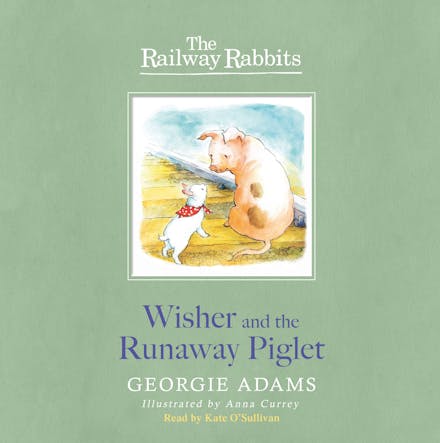Railway Rabbits: Wisher and the Runaway Piglet