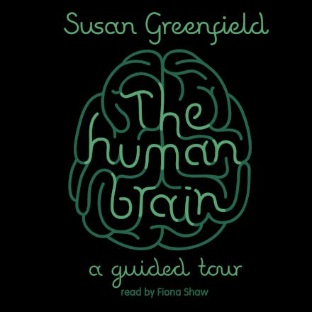 The Human Brain