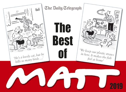 The Best of Matt 2018