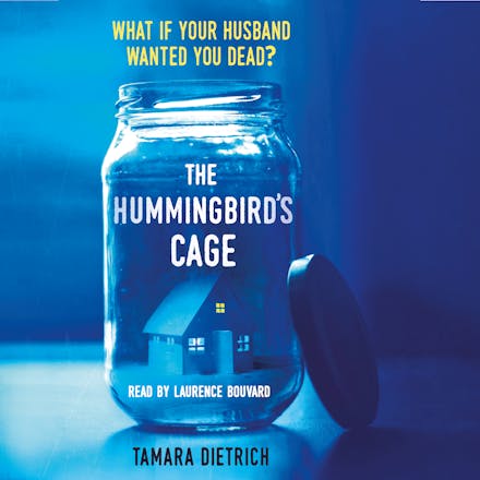 The Hummingbird's Cage