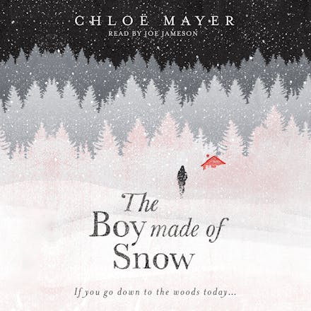 The Boy Made of Snow