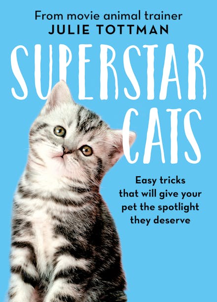 Little Book of Cat Tricks