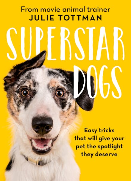 The Little Book of Dog Tricks