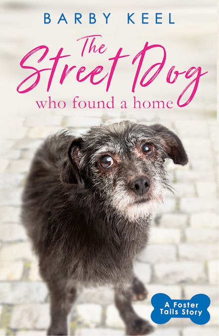 The Street Dog Who Found a Home