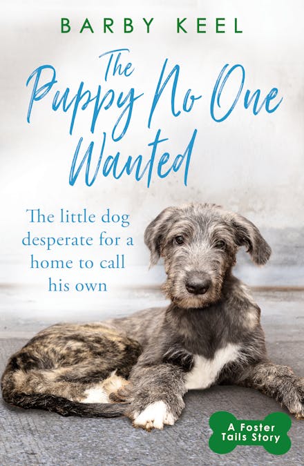 The Puppy No One Wanted