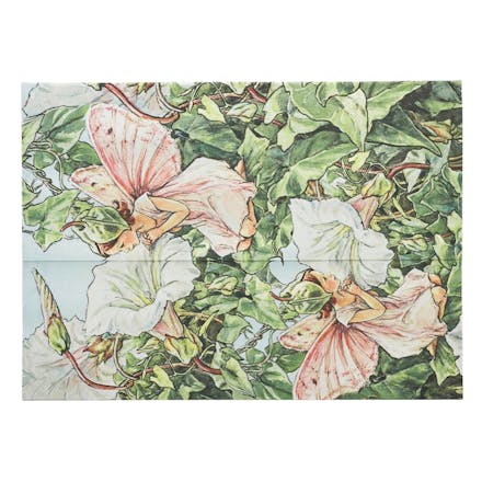 Bindweed Fairy (Flower Fairies) Document Folder (Wrap Closure)