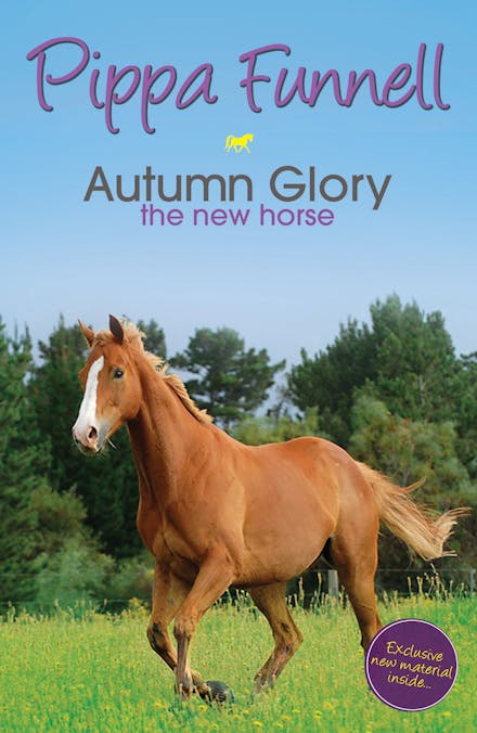 Tilly's Pony Tails: Autumn Glory the New Horse