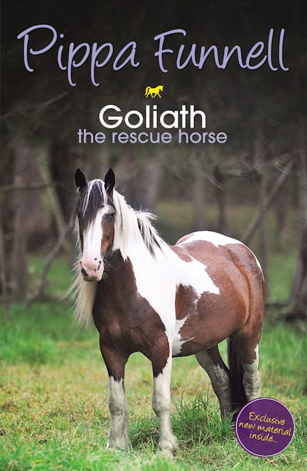 Tilly's Pony Tails: Goliath the Rescue Horse