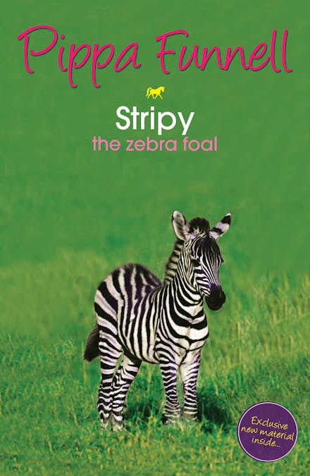 Tilly's Pony Tails: Stripy the Zebra Foal