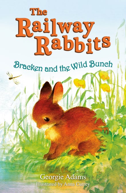 Railway Rabbits: Bracken and the Wild Bunch