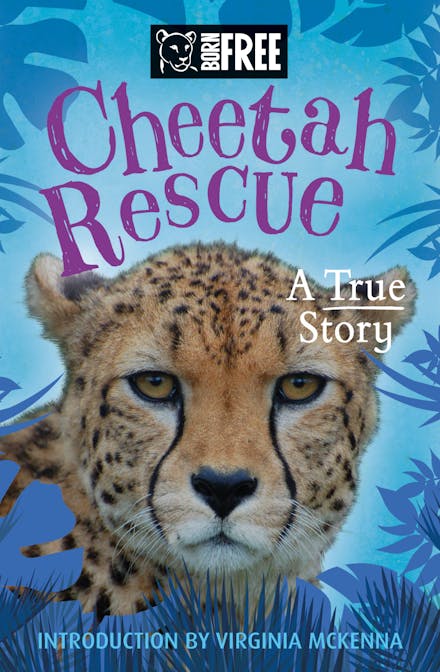 Born Free: Cheetah Rescue