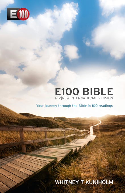 NIV E100 Bible