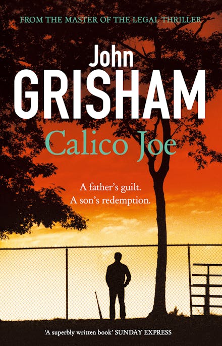 Calico Joe