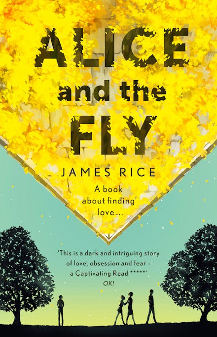 Alice and the Fly