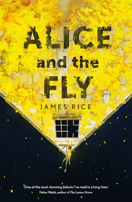 Alice and the Fly