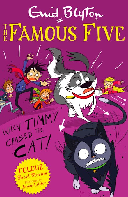 Famous Five Colour Short Stories: When Timmy Chased the Cat
