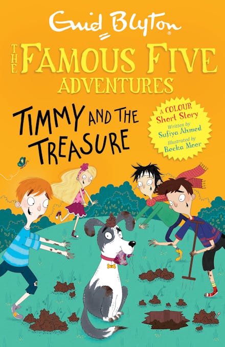 Famous Five Colour Short Stories: Timmy and the Treasure