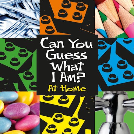 Can You Guess What I Am?: At Home