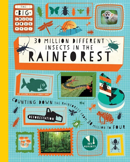 The Big Countdown: 30 Million Different Insects in the Rainforest