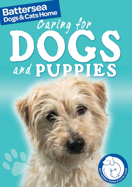 Battersea Dogs & Cats Home: Pet Care Guides: Caring for Dogs and Puppies