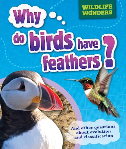 Wildlife Wonders: Why Do Birds Have Feathers?