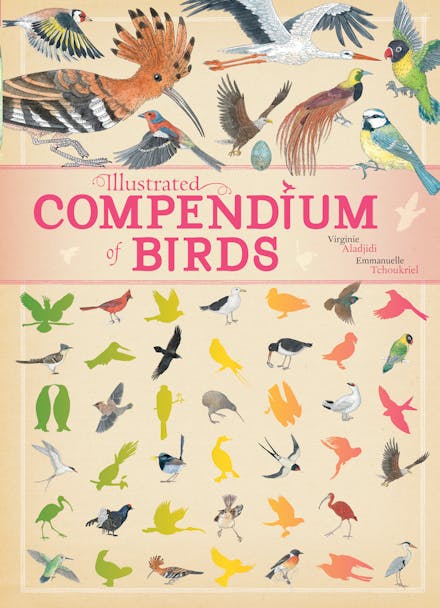 Illustrated Compendium of Birds