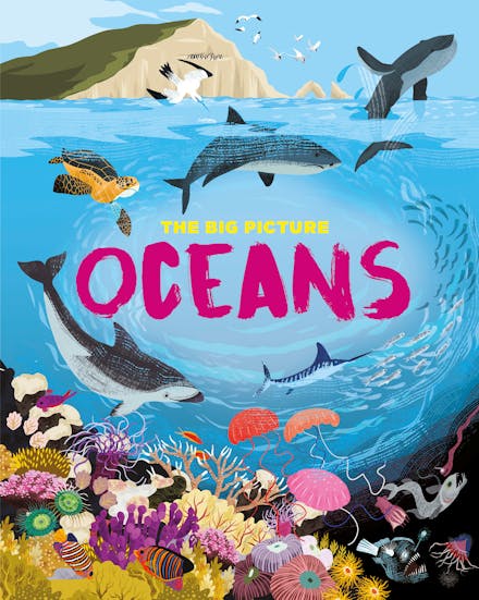 The Big Picture: Oceans