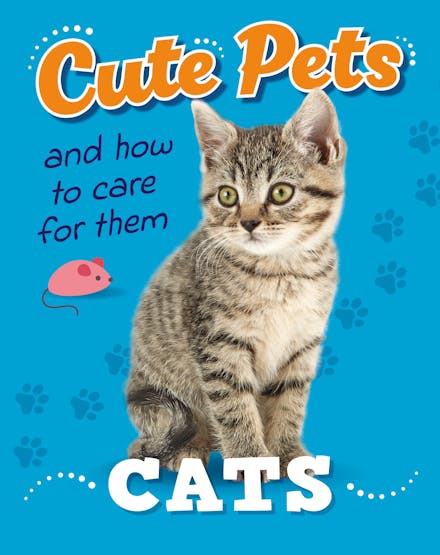 Cute Pets! And How to Care For Them: Cats