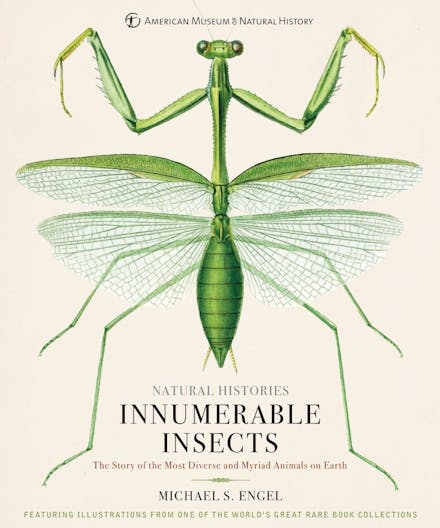 Innumerable Insects