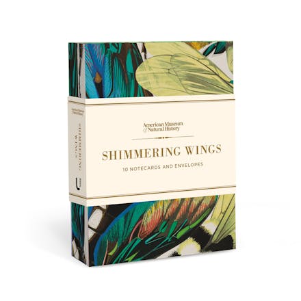 Shimmering Wings