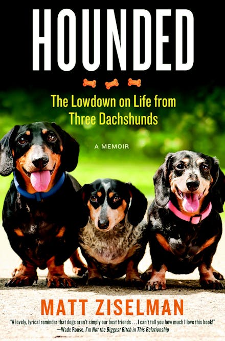 Hounded