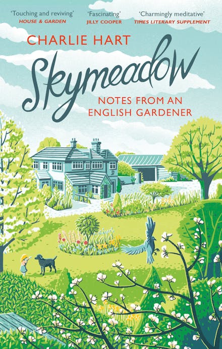 Skymeadow