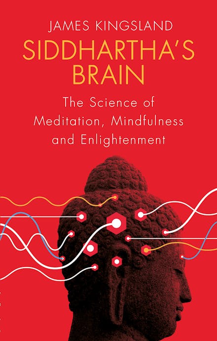 Siddhartha's Brain