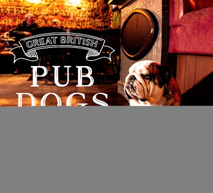 Great British Pub Dogs