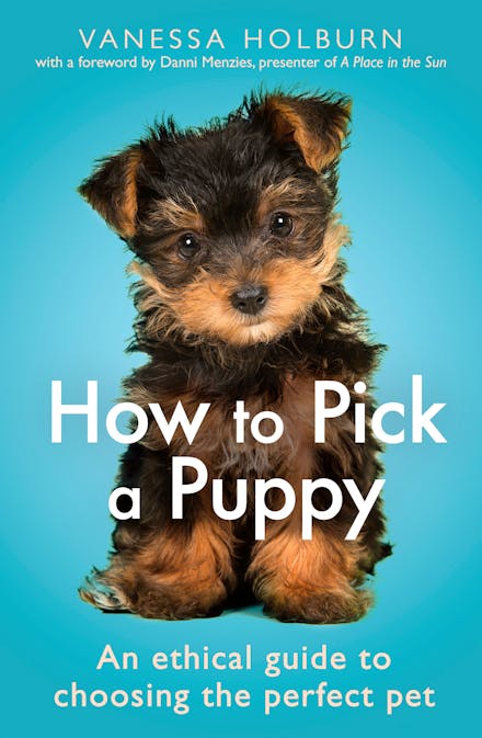 How To Pick a Puppy