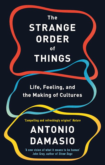 The Strange Order Of Things