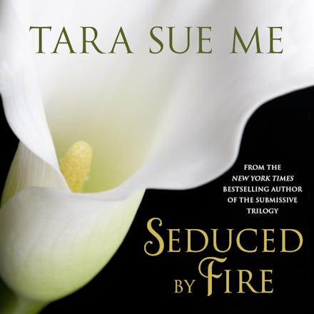 Seduced By Fire: A Partners In Play Novel